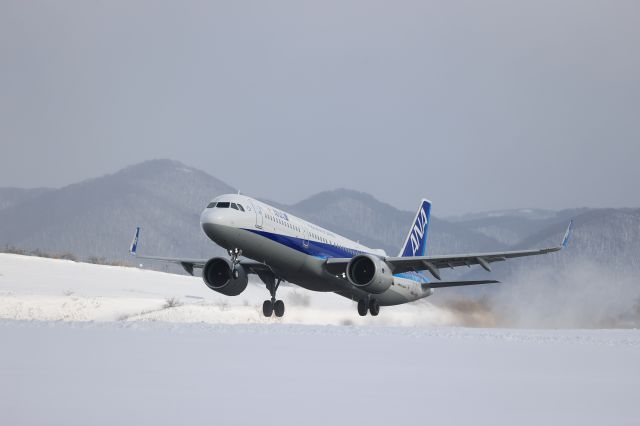 Airbus A321 (JA142A) - January 10th 2021:HKD-HND.