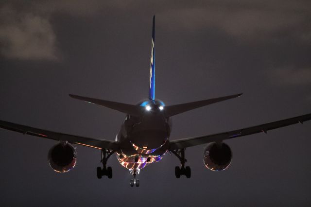 Boeing 787-8 (JA803A) - January 19th 2019:HND-HKD.