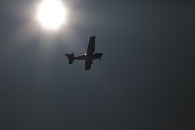 Cessna Skyhawk (N79874) - Walking the dog in the Mendenhall Wetlands