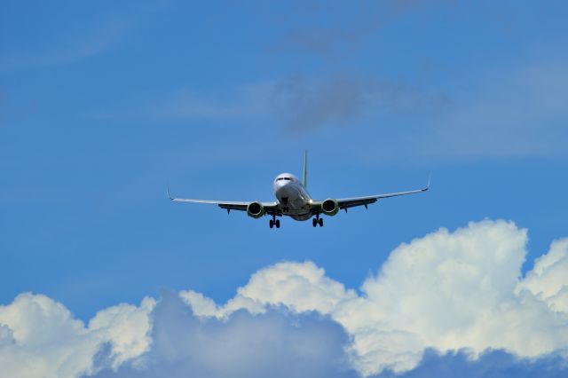 Boeing 737-800 (JA808X)