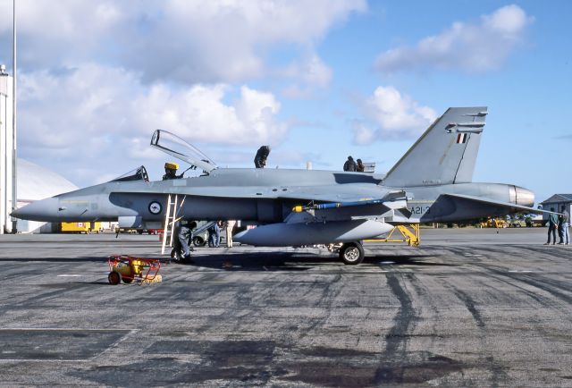 A213 — - AUSTRALIA - AIR FORCE - MCDONNELL DOUGLAS F/A-18A HORNET - REG A21-3 (CN 0250/AF003) - EDINBURGH RAAF BASE ADELAIDE SA. AUSTRALIA - YPED (19/5/1986)