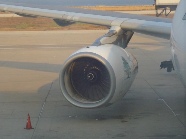 Airbus A330 (F-OMEA) - Number 2 engine before the long flight to London Heathrow