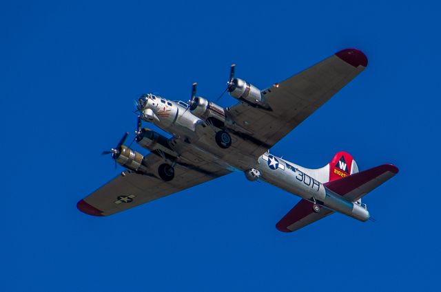 Boeing B-17 Flying Fortress (N2102516) - EAAs Aluminum Overcast DTN Shreveport 11-29-2011