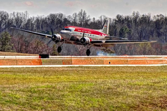 Douglas DC-3 (N143D) - A Herpa DC-3 makes a perfect one-point landing.