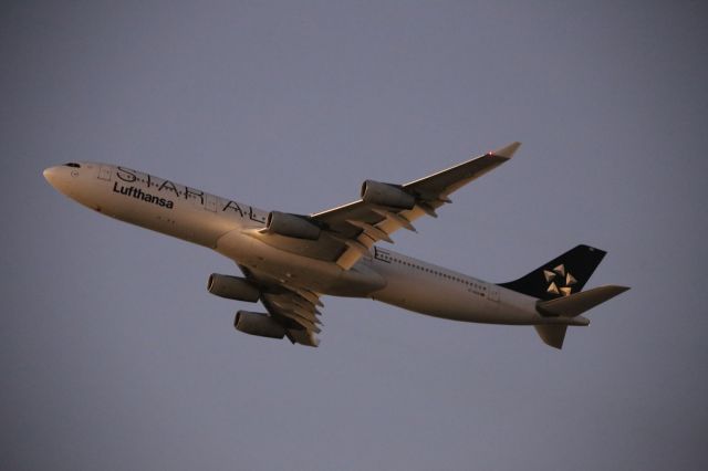 Airbus A340-300 (D-AIGN)