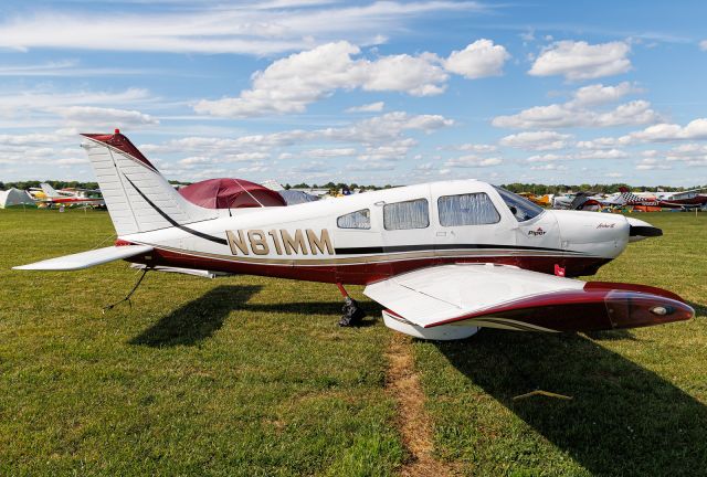 Piper Cherokee (N81MM)