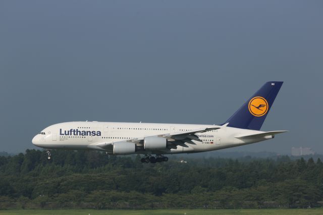 Airbus A380-800 (D-AIMH)