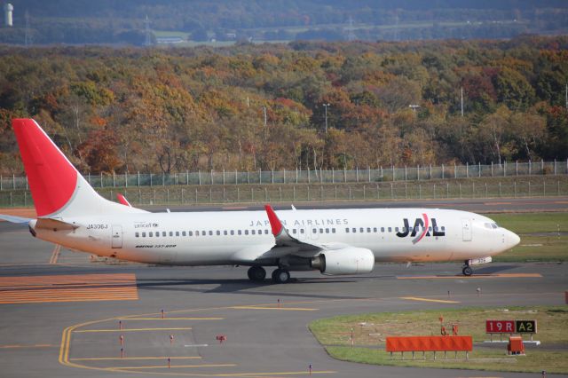 Boeing 737-800 (JA306J)