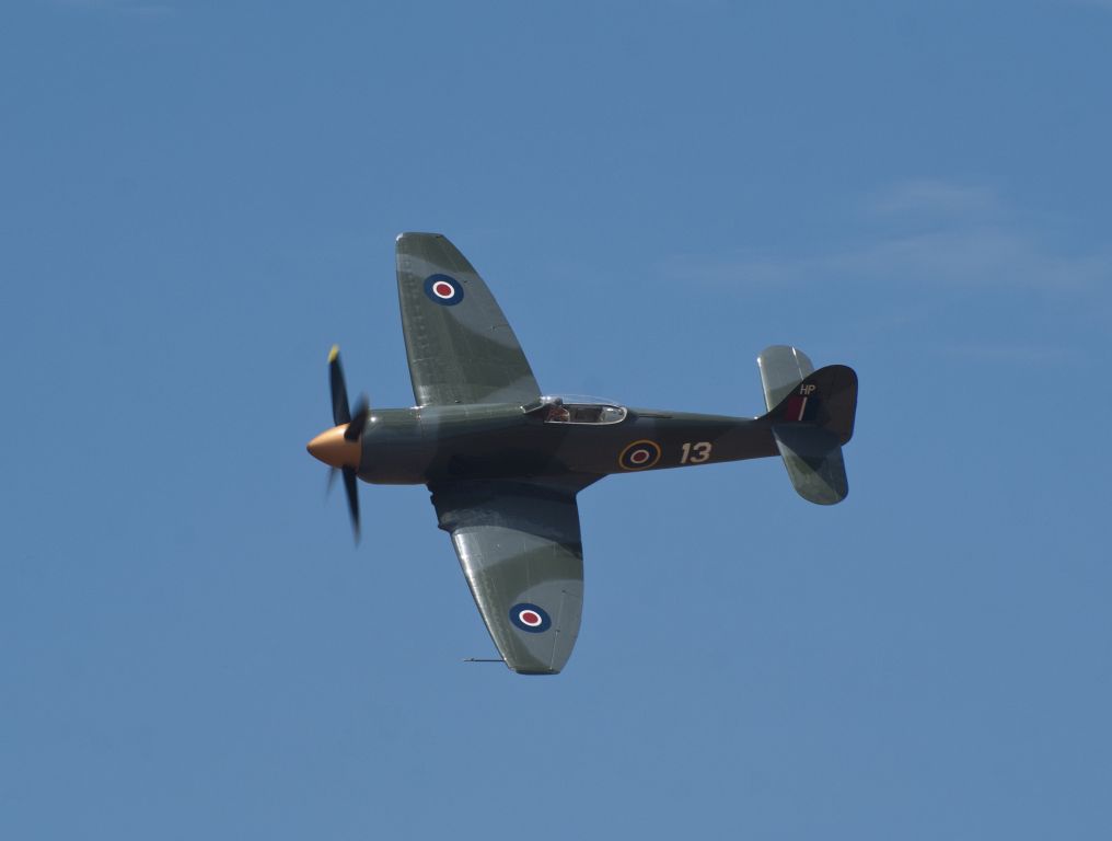 NX13HP — - Hawker Sea Fury in flight during the 2011 Slaton, Texas, air show.