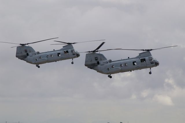 — — - Pair of Chinooks looking for the LZ