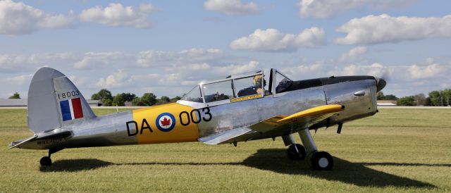 OGMA DHC-1 Chipmunk (N146DK) - On flightline