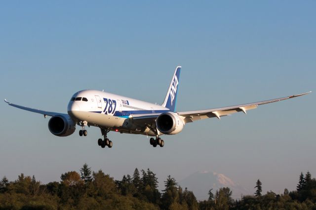 Boeing 787-8 (JA821A)