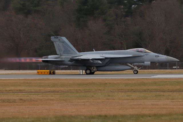 McDonnell Douglas FA-18 Hornet (16-8354) - 'RIPPER 13' from Strike Fighter Squadron 143 (VFA-143), the 'Pukin' Dogs', based at Naval Air Station Oceana, Virginia Beach, VA.  (12/9)