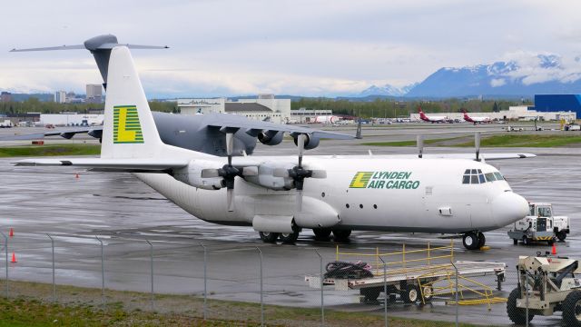 Lockheed C-130 Hercules (N410LC) - #N410LC parked on the Lynden Air Cargo ramp at PANC on 5.24.23. (Lockheed L-382G / Ser #4673).