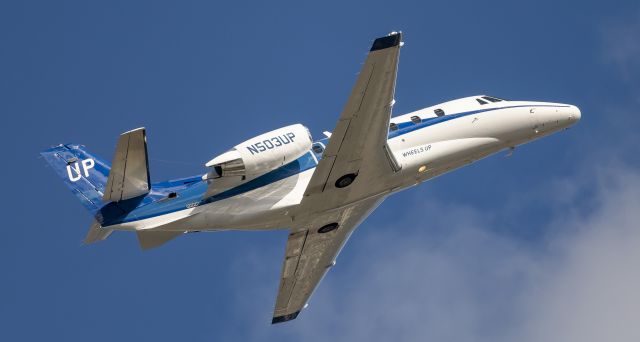 Cessna Citation V (N503UP)