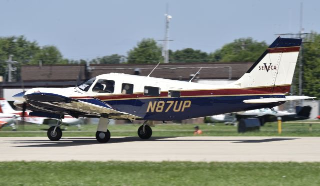 Piper Seneca (N87UP) - Airventure 2017