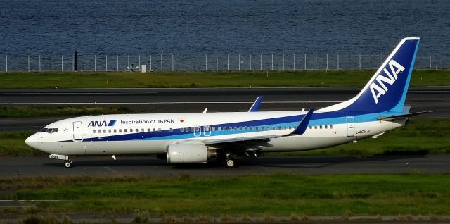 Boeing 737-800 (JA61AN)