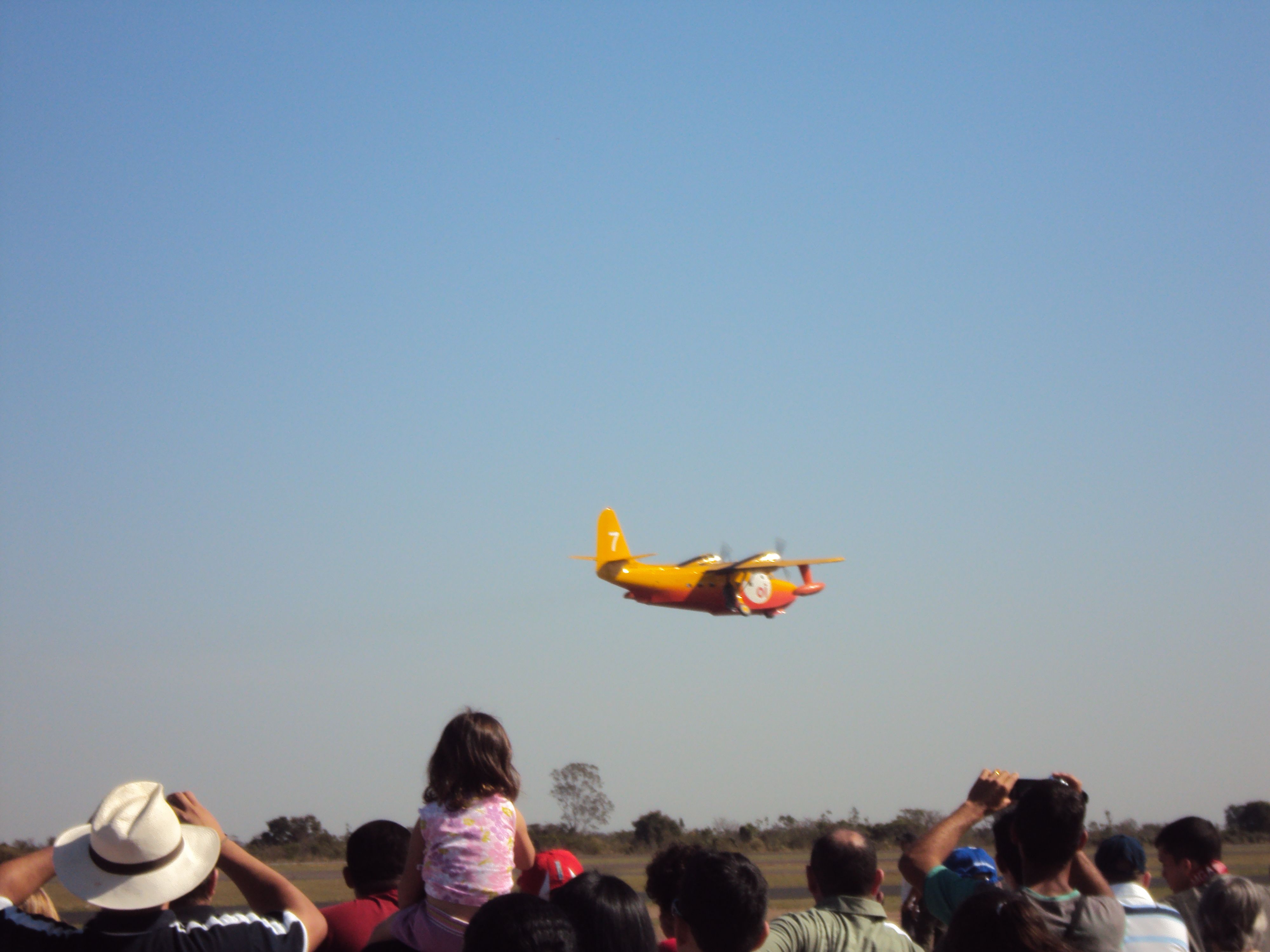 — — - Domingo aéreo 2010 na academia da força aérea brasileira(Show de demostração aérea)