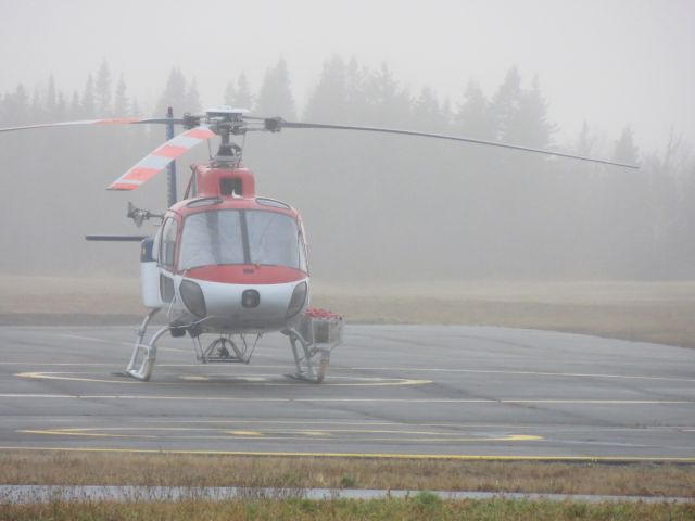 Eurocopter AS-350 AStar (C-GEVH) - C-GEVH, A Canadian Helicopter Astar 350 sitting on the company ramp. Sept-Îles, Québec - October 2012