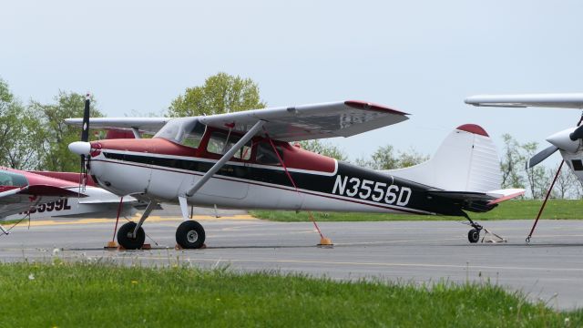 Cessna Skyhawk (N3556D)