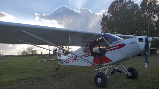 Piper L-21 Super Cub (N8964C)