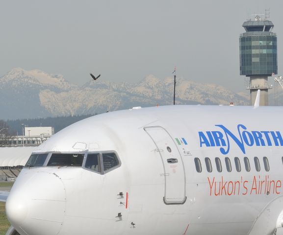 Boeing 737-500 (C-GANH) - Three bald eagles were seen buzzing the South Runway. One may belong to the airport's wildlife management program.