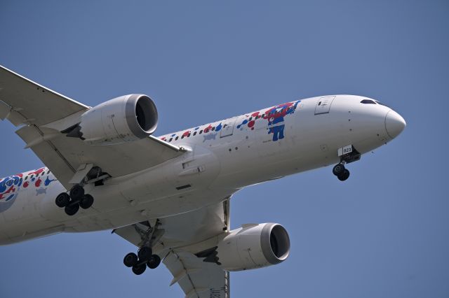 Boeing 787-8 (JA823J) - 27.Apr.2025br /Landing at RWY22(B).br /The photo was taken at Jonanjima Seaside Park.