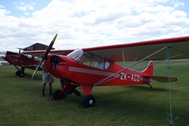 Piper Cub (J-2) (ZK-AGD) - J-2 Cub