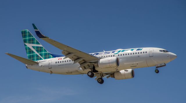 Boeing 737-700 (C-GQWJ) - Westjet painted the tartan on this tail to commemorate the inaugural service to Glasgow, Scotland