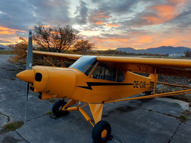 Piper L-21 Super Cub (OE-CUB) - Austrian Aviation Museums top restored 1962 PA18-150