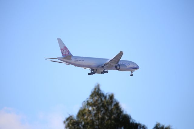 BOEING 777-200LR (B-18771)