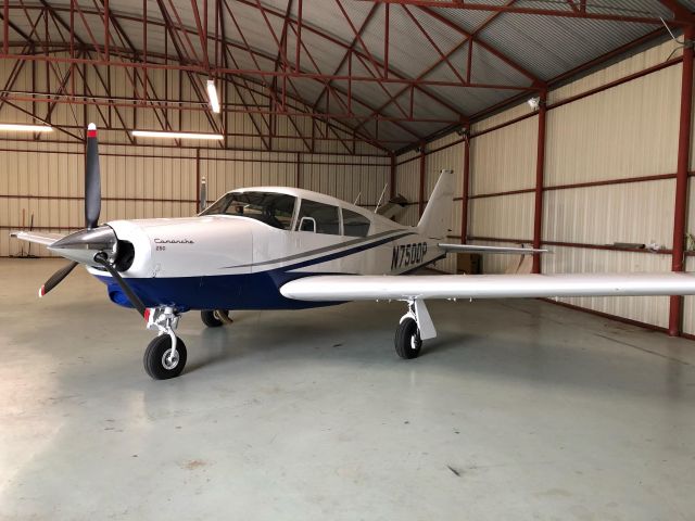 Piper PA-24 Comanche (N7500P) - Brie the Comanche in the hangar at In The Pattern!