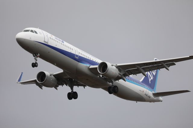 Airbus A321 (JA112A) - 22 April 2017:HND-HKD.