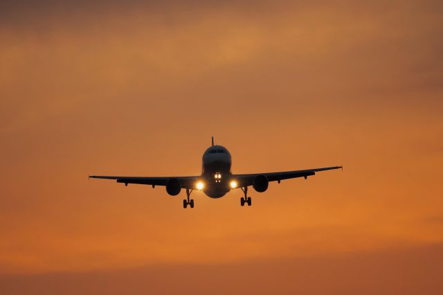 Airbus A320 (ANAJA8304)