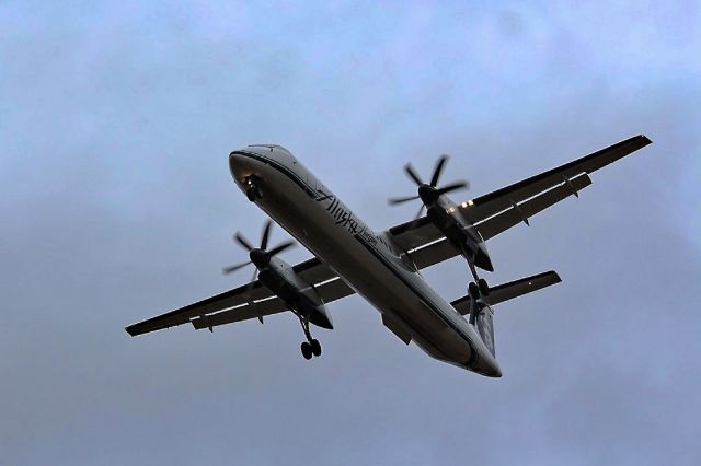 de Havilland Dash 8-100 — - Dash 8s are actually much louder than you think. I snapped this picture of one flying at treetop level before covering my ears