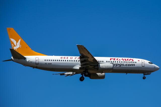 TC-AAB — - TC-AAB Pegasus Boeing 737-86N @ Frankfurt EDDF / 17.07.2006