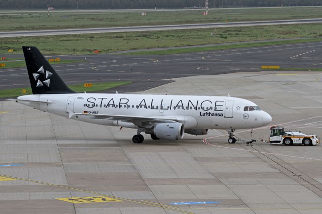 Airbus A319 (D-AILF) - "Star Alliance" cs