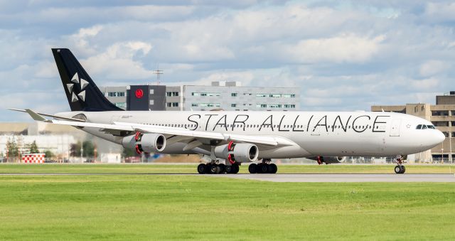 Airbus A340-300 (D-AIFF) - The flower petals bloom as DLH478 slows on runway 24R at Montreal, arriving from Frankfurt.