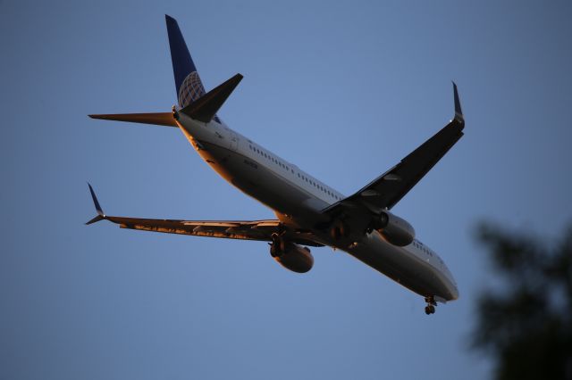 Boeing 737-900 (N69838)