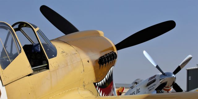 CURTISS Warhawk (N85104) - Warbird Roundup 2018 at Warhawk Air Museum, Nampa, ID, 25 Aug 18