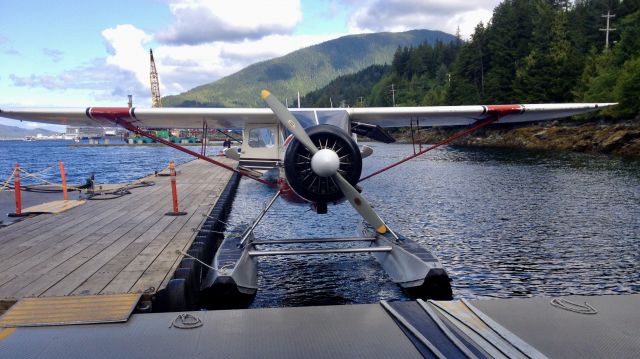 HOWARD (1) Nightingale (N26J) - Misty Fjords. Ketchikan 