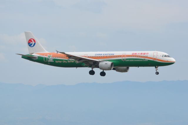 Airbus A321 (B-2290)