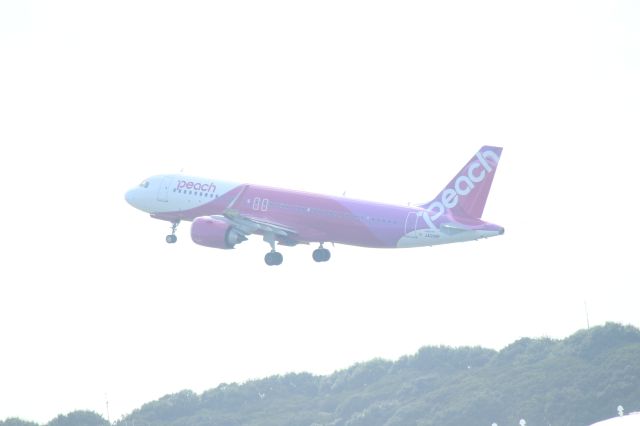 Airbus A320neo (JA218P) - Nov 04,2024br /APJ533 NRT→ISG