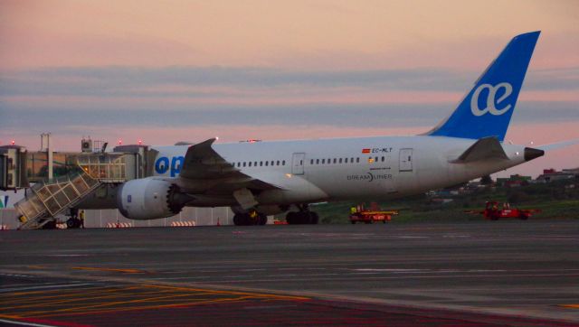 Boeing 787-8 (EC-MLT)