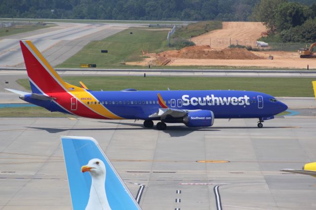 Boeing 737 MAX 8 (N8836Q)