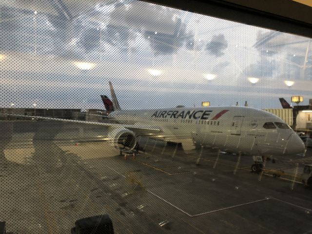 Boeing 787-9 Dreamliner (F-HRBA) - My plane to Paris CDG