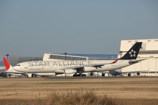 Airbus A340-300 (TC-JDL) - Departure at Narita Intl Airport 34L on 2008/12/31 Star Alliance c/s