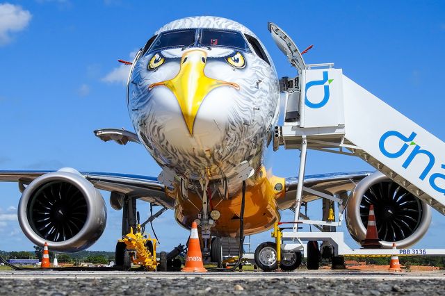 EMBRAER ERJ-190-400 (PR-ZIJ) - Embraer E195-E2 (ERJ 190-400 STD) PR-ZIJ