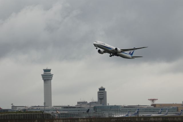 Boeing 787-9 Dreamliner (JA830A) - March 8th 2015: