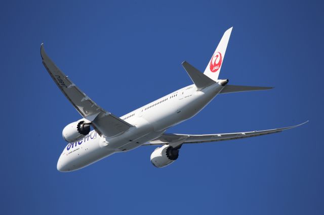 Boeing 787-9 Dreamliner (JA861J)